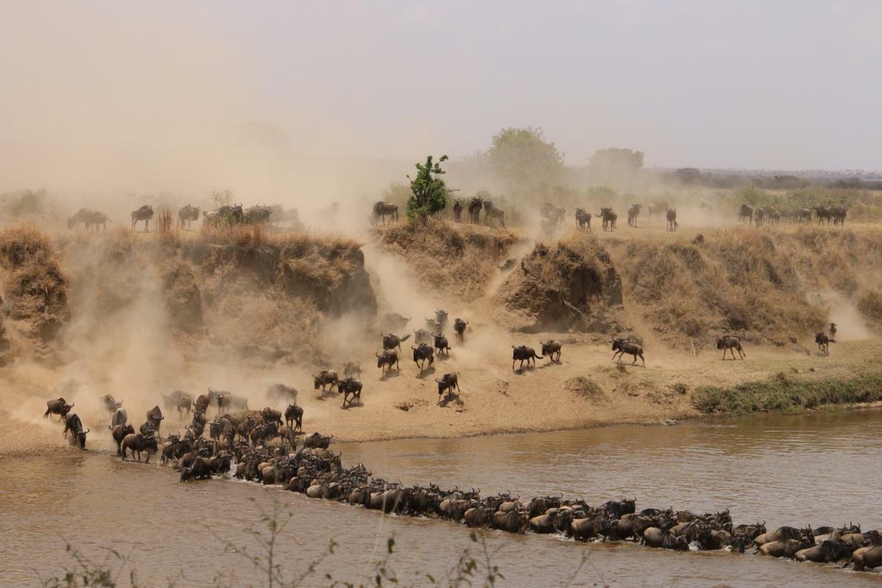 Gnu Mara River Camp Serengeti Esterno foto